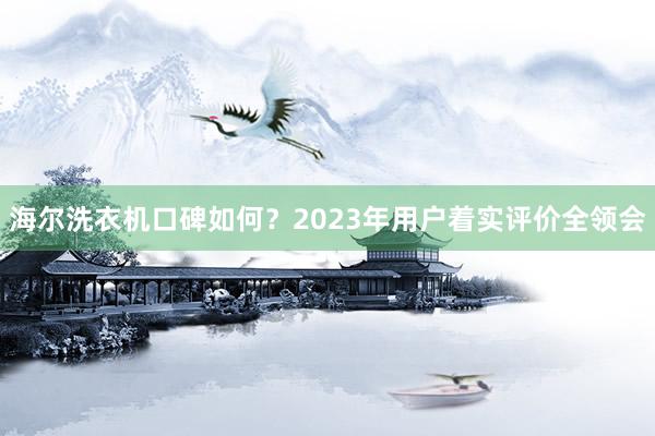 海尔洗衣机口碑如何？2023年用户着实评价全领会